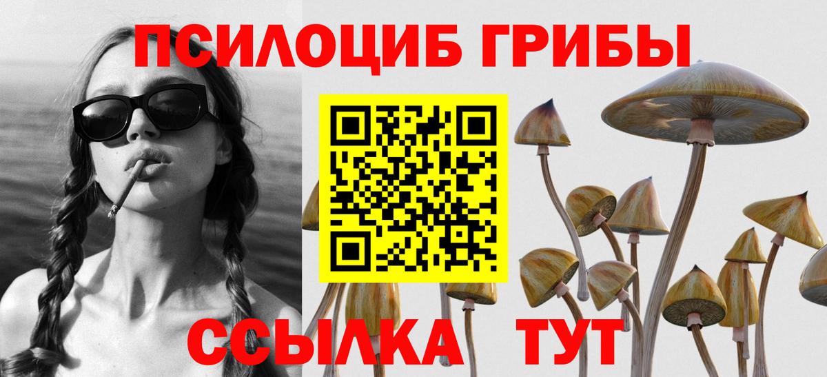 Галлюциногенные грибы Psilocybine cubensis  Галлюциногенные грибы Cubensis  Карасук  Вход с VPN 